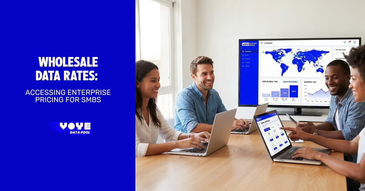 Wholesale Data Rates: Accessing Enterprise Pricing for SMBs