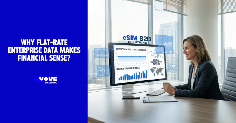 Why Flat-Rate Enterprise Data Makes Financial Sense?