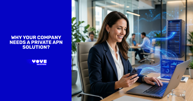 Why Your Company Needs a Private APN Solution?