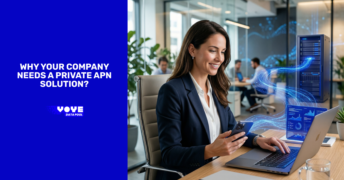 Why Your Company Needs a Private APN Solution?